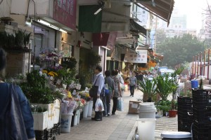 One flower shop after another